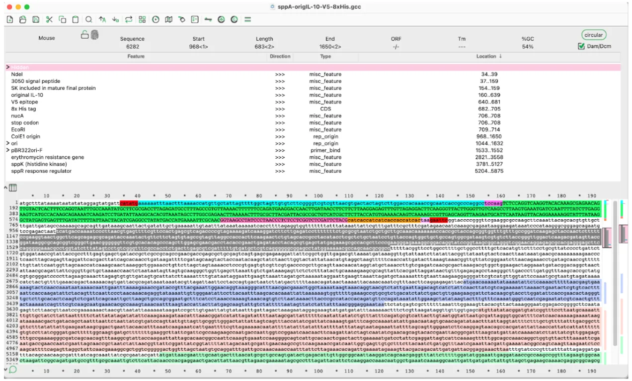 ApE visualization of IL-10 plasmid